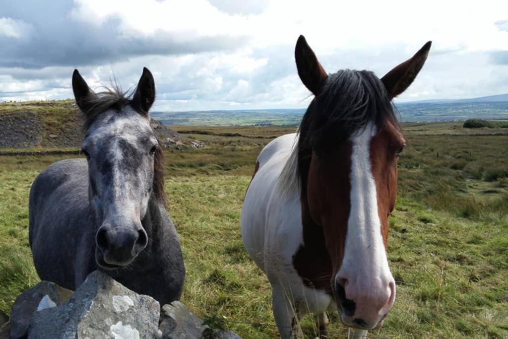 Red Stonecutters Cottage, Doolin Carrowauff Bagian luar foto