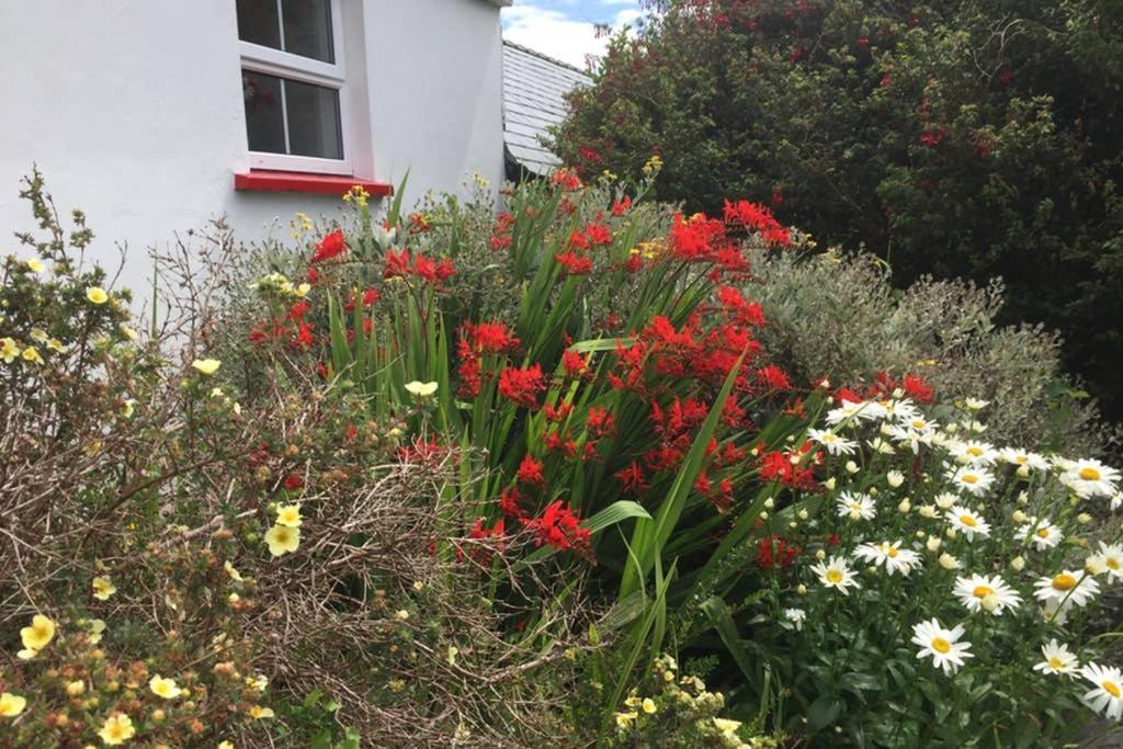 Red Stonecutters Cottage, Doolin Carrowauff Bagian luar foto